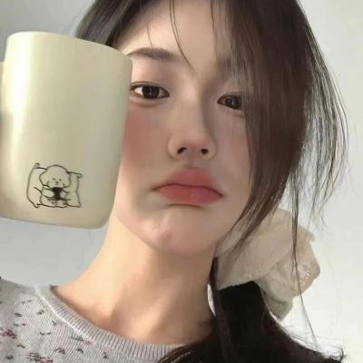 巡回法官