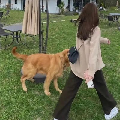 爱女之约：与囚父共舞